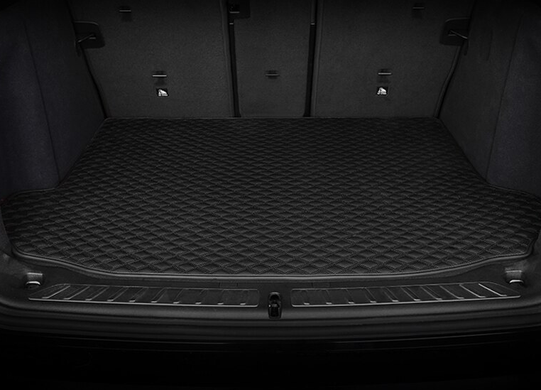 Килимок багажника BMW X5 E70 замінник шкіри