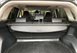 Задня накладка (шторка, полка) багажника Toyota RAV 4 (2019 -...)