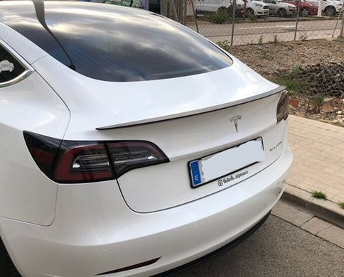 Спойлер Tesla Model 3 ABS-пластик (17-22 р.в.)